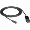 Black Box USB-C Adapter Cable - USB-C to DisplayPort Adapter, 4K60, DP 1.2 Alt Mode - 6 ft DisplayPort/USB-C A/V Cable for Audio/Video Device, Notebook, Tablet, Smartphone, Monitor, Projector - First End: 1 x USB Type C - Male - Second End: 1 x Displ