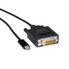 Black Box USB-C Adapter Cable - USB-C to DVI Adapter, 1080p @ 60Hz, DP 1.2 Alt Mode - 6 ft DVI-D/USB-C Video Cable for Video Device, Notebook, Tablet, Smartphone, Monitor, Projector - First End: 1 x USB Type C - Male - Second End: 1 x DVI-D (Dual-Lin
