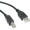 Axiom USB 2.0 Type-A to USB Type-B Cable M/M 15ft - 15 ft USB Data Transfer Cable for Mouse, Keyboard, Portable Hard Drive, Printer, Camera - First End: 1 x USB 2.0 Type A - Male - Second End: 1 x USB 2.0 Type B - Male - 480 Mbit/s - Shielding
