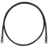 PANDUIT Cat.6 UTP Patch Cable - TX6 PLUS Male Network - TX6 PLUS Male Network - 10ft - Black