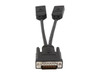 StarTech.com 8" DMS-59 to Dual DisplayPort Adapter Cable, 4K x 2K, DMS 59 pin (M) to 2x DP 1.2 (F) Splitter Y Cable, LFH to 2x DP Monitors - 7.8in DMS-59 to Dual DisplayPort adapter; 4K x 2K (3840x2160p 60Hz)/21.6Gbps/HBR2 - Y-cable to split the vide
