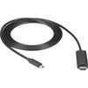 Black Box USB-C to HDMI Active Adapter Cable, 4K60, HDR, 6ft - 6 ft HDMI/USB-C A/V Cable for Audio/Video Device, Notebook, Tablet, Smartphone, Monitor, Projector, TV - First End: 1 x USB Type C - Male - Second End: 1 x HDMI 2.0 Digital Audio/Video - 