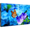 NEC Display 55" Ultra-Narrow Bezel Professional-Grade Display - 55" LCD - 1920 x 1080 - Direct LED - 500 Nit - 1080p - HDMI - USB - DVI - SerialEthernet