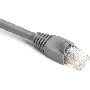 Black Box GigaTrue Cat.6 UTP Patch Network Cable - 9" Category 6 Network Cable for Patch Panel, Wallplate, Network Device - First End: 1 x RJ-45 Network - Male - Second End: 1 x RJ-45 Network - Male - 1 Gbit/s - Patch Cable - Gold Plated Contact - CM