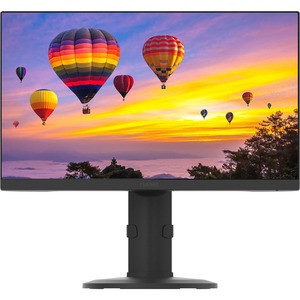 Planar PZN2410 24" Class Full HD LCD Monitor - 16:9 - 23.8" Viewable - In-plane Switching (IPS) Technology - LED Backlight - 1920 x 1080 - 16.7 Million Colors - 250 Nit Typical - 6 msGTG - 75 Hz Refresh Rate - HDMI - VGA - DisplayPort