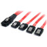 StarTech.com 50cm Serial Attached SCSI SAS Cable - SFF-8087 to 4x Latching SATA - Connect a SATA/SAS Controller to 4 SATA drives - 50cm SASto SATA Cable - Mini SAS to SATA - SFF 8087 to SATA - Serial Attached SCSI to SATA - 1x SFF-8087 to 4x SATA - 5