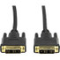 Rocstor Premium 6 ft DVI-D Single Link Cable - M/M - DVI cable for use with Projectors, Video Devices, Monitors, Notebook - 2m - 1 Pack - 1 x DVI-D (Single-Link 18+1) Male Digital Video - 1 x DVI-D (Single-Link) Male Digital Video - Gold Plated Conne