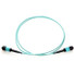Axiom MPO Female to MPO Female Multimode OM4 50/125 Fiber Optic Cable - 15m - Fiber Optic for Network Device - 49.21 ft - 2 x MPO Female Network - 2 x MPO Female Network - 50/125 µm - Aqua