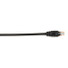 Black Box Connect Cat.6 UTP Patch Network Cable - 3 ft Category 6 Network Cable for Network Device - First End: 1 x RJ-45 Network - Male - Second End: 1 x RJ-45 Network - Male - 1 Gbit/s - Patch Cable - Gold Plated Contact - CM - 26 AWG - Black