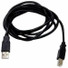 Digi USB Cable - Type A Male - Type B Male - 6.56ft - Black