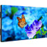 NEC Display 55" Ultra-Narrow Bezel Professional-Grade Display - 55" LCD - 1920 x 1080 - Direct LED - 500 Nit - 1080p - HDMI - USB - DVI - SerialEthernet