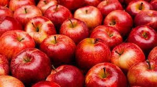 Fresh Fuji Apples, 3 lb Bag