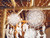 Łapacz snów - Piórka, złamana biel, 30x94cm