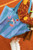 Naprasowanki Giddy up, mix, 2-7x3.5-7 cm