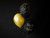 Balony 30 cm, Nietoperze, Pastel Black	