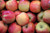 Fresh Fuji Apples, 3 lb Bag