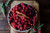 Fresh Raspberries, 6 oz Container