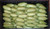 Fresh Calabacita Squash, Each