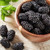 Fresh Blackberries, 6 oz Container