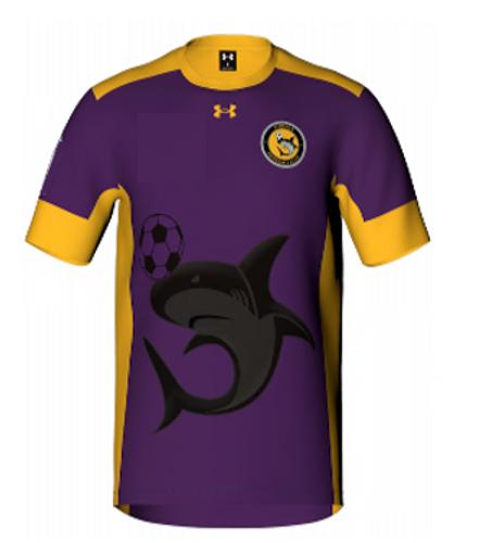 Aldinga SC Juniors Keeper T-Shirt Kids - Purple