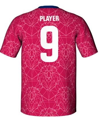 Sturt Lions FC Performance T-Shirt Kids - Pink