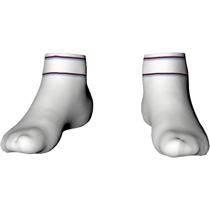 St Clare's College Ankle Socks