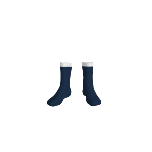 ISC SPORT CUSTOMISABLE CALF SOCKS