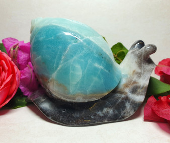 Caribbean Calcite Snail Carving