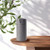 Aroma-Recharge Cordless Diffuser + Oil