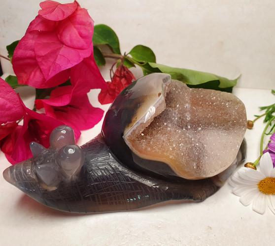 Druzy Agate Snail Carving