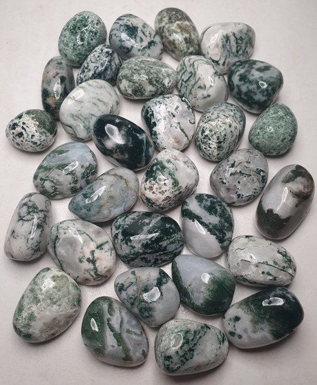 Tree Agate Tumble Stone