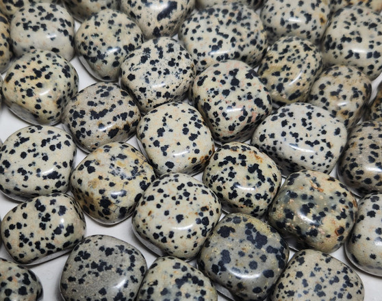 Dalmatian Jasper Tumble Stone