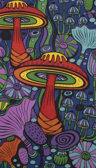 Psychedelic Mushroom Red Printed Cotton Wall Hanging/Bedspread/Throw