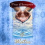 Five Elements Water Incense
