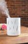 Aroma-Cloud Humidifier Diffuser + Immune Boost Essential Oil Blend