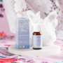 Meditation 100% Certified Organic Essential Oil Blend.