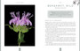 Plants of Power by Stacey Demarco and Miranda Mueller