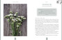 Plants of Power by Stacey Demarco and Miranda Mueller