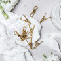 Ever Eco 20 Gold Clothes Pegs