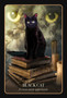 The Halloween Oracle: Lifting the Veil Between the Worlds Every Night Stacey Demarco