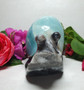 Caribbean Calcite Snail Carving