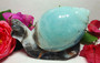 Caribbean Calcite Snail Carving