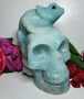 Caribbean Calcite  Skull and Lizard Carving