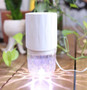 Blush Pink Aroma-Petal Crystal Light Diffuser + Bonus Oil
