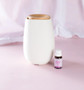 Aroma-Fern Essential Oil Diffuser