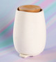 Aroma-Fern Essential Oil Diffuser