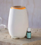 Aroma-Fern Essential Oil Diffuser