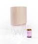 Nude Brown Aroma-Petal Crystal Light Diffuser + Bonus Oil