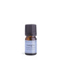 Insight Third Eye Chakra Essential Oil Blend