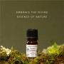 Green Goddess Essential Oil Blend